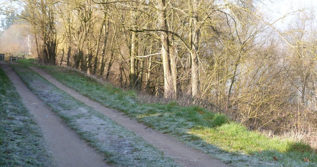 Les Gites De Colliers Muides-sur-Loire Bilik gambar