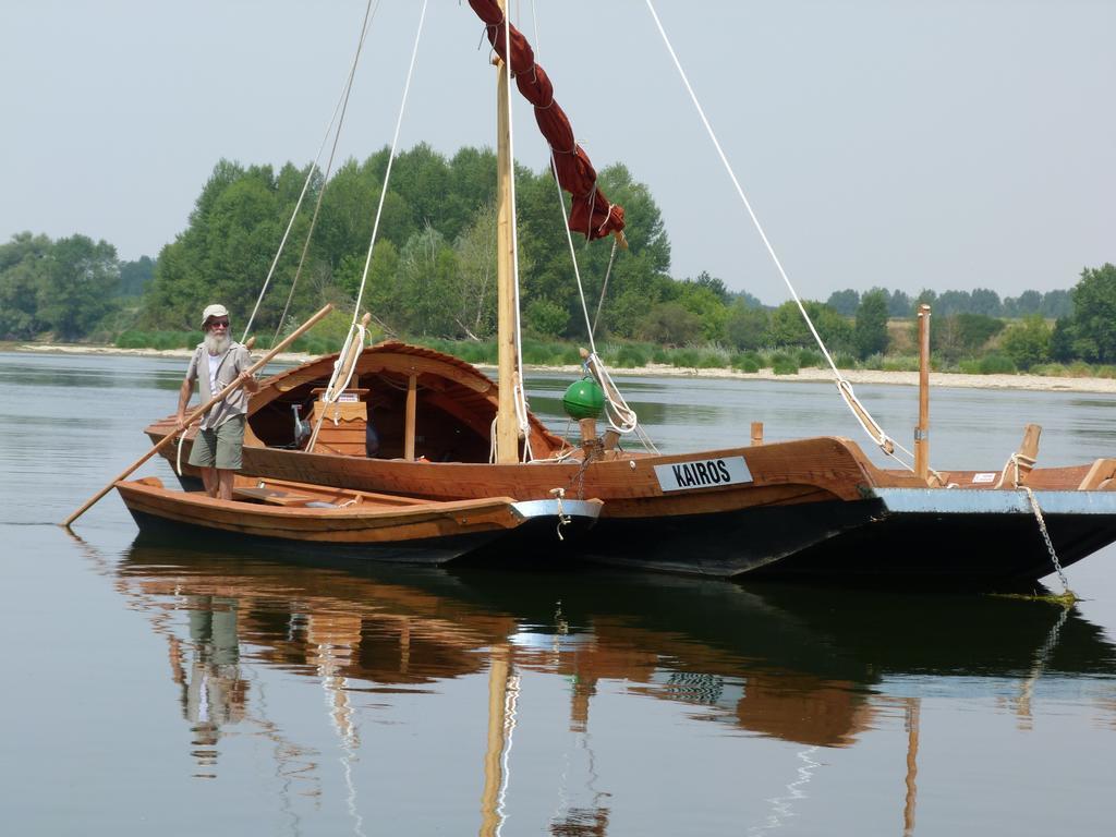 Les Gites De Colliers Muides-sur-Loire Luaran gambar